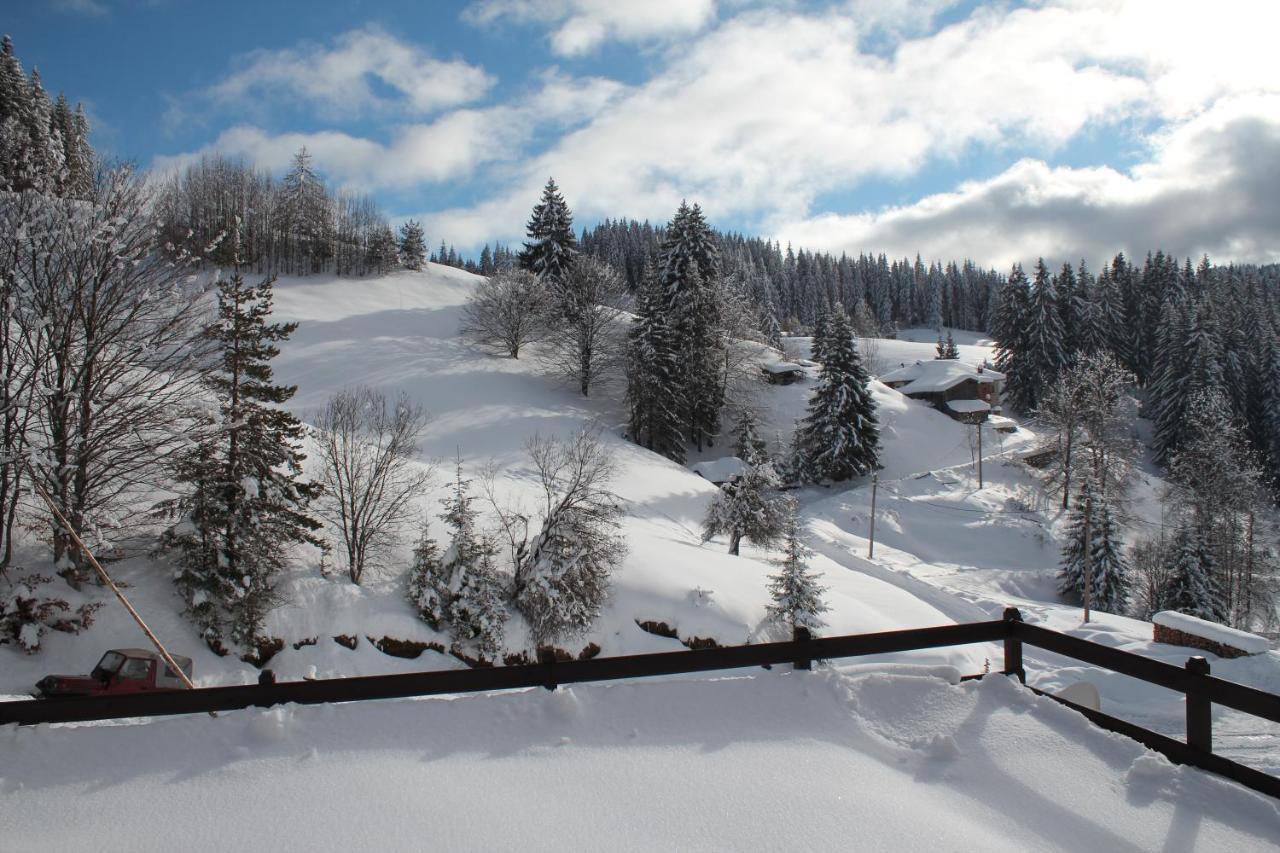 Villa O Sole Mio Progled Zewnętrze zdjęcie